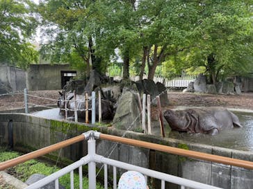 名古屋市東山動植物園に投稿された画像（2024/10/13）