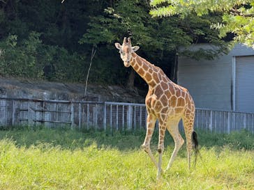 名古屋市東山動植物園に投稿された画像（2024/10/13）