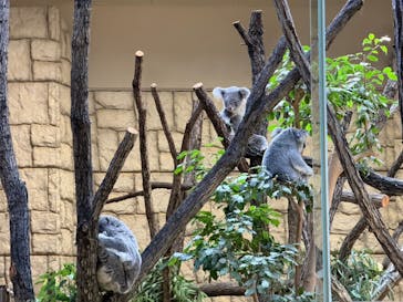 名古屋市東山動植物園に投稿された画像（2024/10/13）