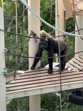 名古屋市東山動植物園に投稿された画像（2024/10/13）