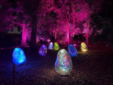 チームラボ ボタニカルガーデン 大阪に投稿された画像（2024/10/13）