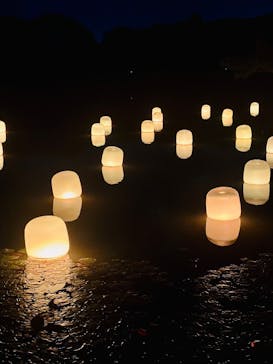 チームラボ ボタニカルガーデン 大阪に投稿された画像（2024/10/13）