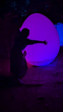 チームラボ ボタニカルガーデン 大阪に投稿された画像（2024/10/13）