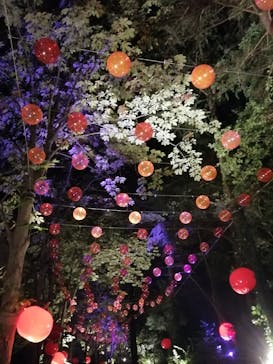 ムーミンバレーパークに投稿された画像（2024/10/13）