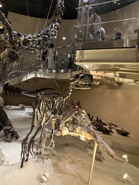 国立科学博物館に投稿された画像（2024/10/13）