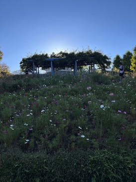 ガーデンミュージアム比叡に投稿された画像（2024/10/13）