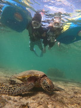 nico 宮古島に投稿された画像（2024/10/13）