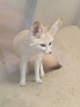 環境水族館アクアマリンふくしまに投稿された画像（2024/10/13）