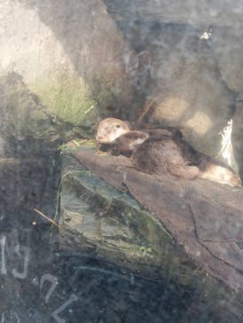 環境水族館アクアマリンふくしまに投稿された画像（2024/10/13）