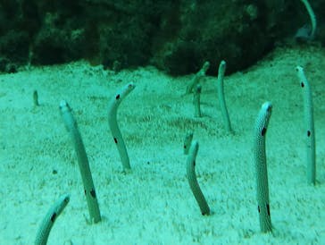 環境水族館アクアマリンふくしまに投稿された画像（2024/10/13）