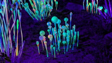 神戸六甲ミーツ・アート2025 beyondに投稿された画像（2024/10/13）