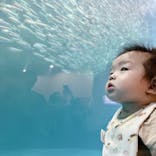名古屋港水族館に投稿された画像（2024/10/14）