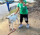 しろとり動物園に投稿された画像（2024/10/14）