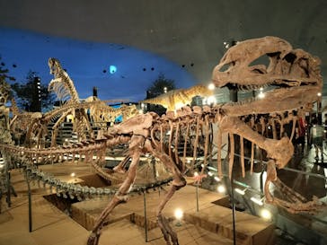 福井県立恐竜博物館に投稿された画像（2024/10/13）