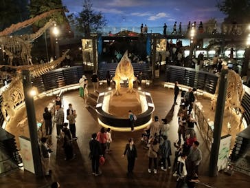 福井県立恐竜博物館に投稿された画像（2024/10/13）