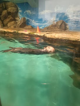 マリンワールド海の中道に投稿された画像（2024/10/13）