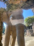 多摩動物公園に投稿された画像（2024/10/14）