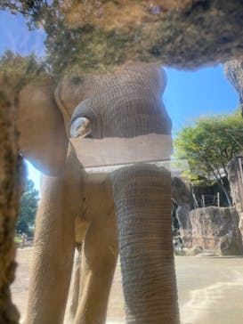 多摩動物公園に投稿された画像（2024/10/13）