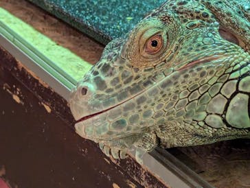 Moff animal cafe イオンモール幕張新都心店に投稿された画像（2024/10/13）