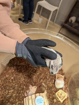 Moff animal cafe イオンモール幕張新都心店に投稿された画像（2024/10/13）