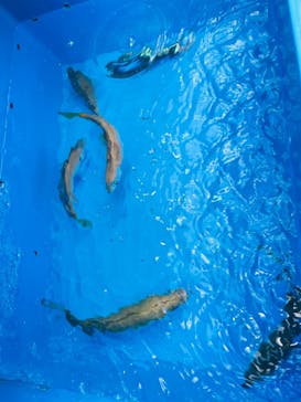 第三新生合同丸に投稿された画像（2024/10/13）