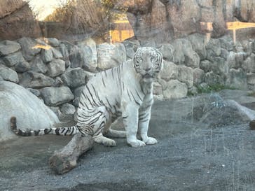 東武動物公園に投稿された画像（2024/10/13）