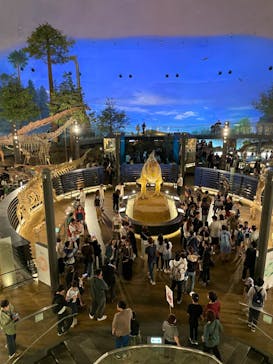 福井県立恐竜博物館に投稿された画像（2024/10/13）