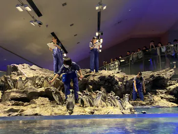 すみだ水族館に投稿された画像（2024/10/13）