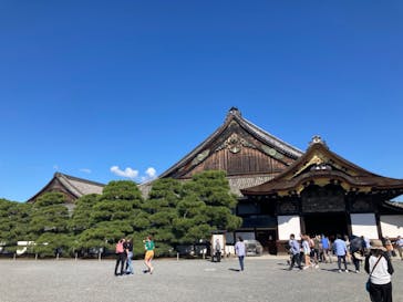 元離宮二条城に投稿された画像（2024/10/13）