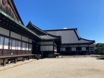 元離宮二条城に投稿された画像（2024/10/13）