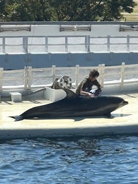 京都水族館に投稿された画像（2024/10/14）