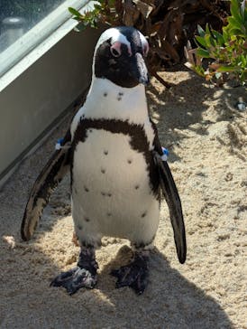 マリンワールド海の中道に投稿された画像（2024/10/14）