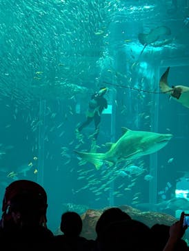 マリンワールド海の中道に投稿された画像（2024/10/14）