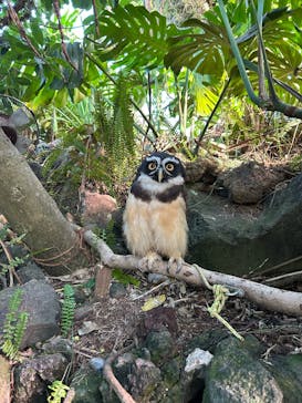 伊豆シャボテン動物公園に投稿された画像（2024/10/14）