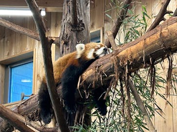 伊豆シャボテン動物公園に投稿された画像（2024/10/14）