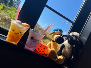 EnglishGardenローザンベリー多和田に投稿された画像（2024/10/14）