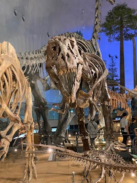福井県立恐竜博物館に投稿された画像（2024/10/14）