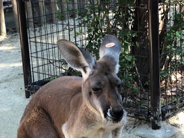 名古屋市東山動植物園に投稿された画像（2024/10/14）