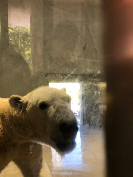 名古屋市東山動植物園に投稿された画像（2024/10/14）