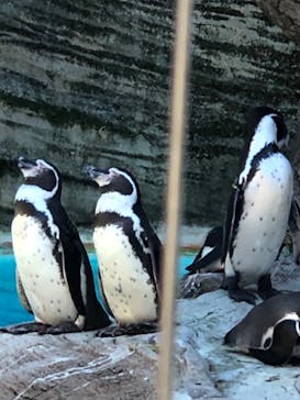 名古屋市東山動植物園に投稿された画像（2024/10/14）