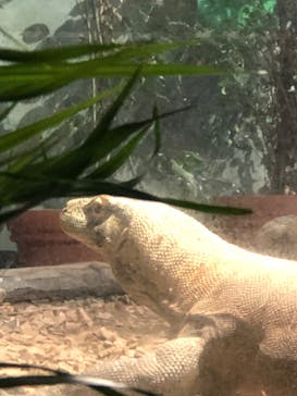 名古屋市東山動植物園に投稿された画像（2024/10/14）