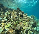 沖縄マリンサービス碧に投稿された画像（2024/10/14）