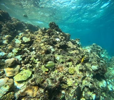 沖縄マリンサービス碧に投稿された画像（2024/10/14）