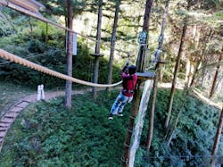 フォレストアドベンチャー奥日田に投稿された画像（2024/10/14）