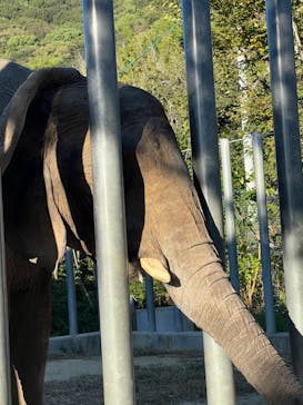 しろとり動物園に投稿された画像（2024/10/14）