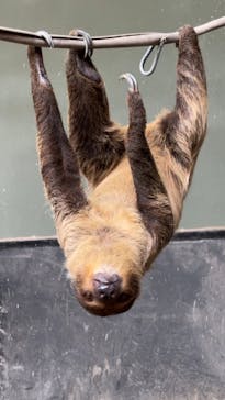 カワスイ 川崎⽔族館に投稿された画像（2024/10/14）