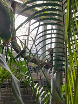 神戸どうぶつ王国に投稿された画像（2024/10/14）