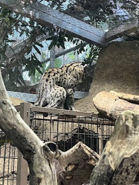 神戸どうぶつ王国に投稿された画像（2024/10/14）