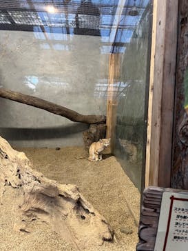 神戸どうぶつ王国に投稿された画像（2024/10/14）