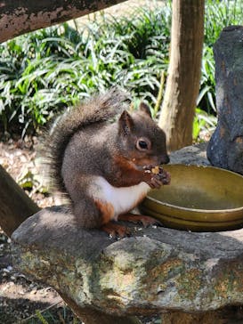 那須どうぶつ王国に投稿された画像（2024/10/14）